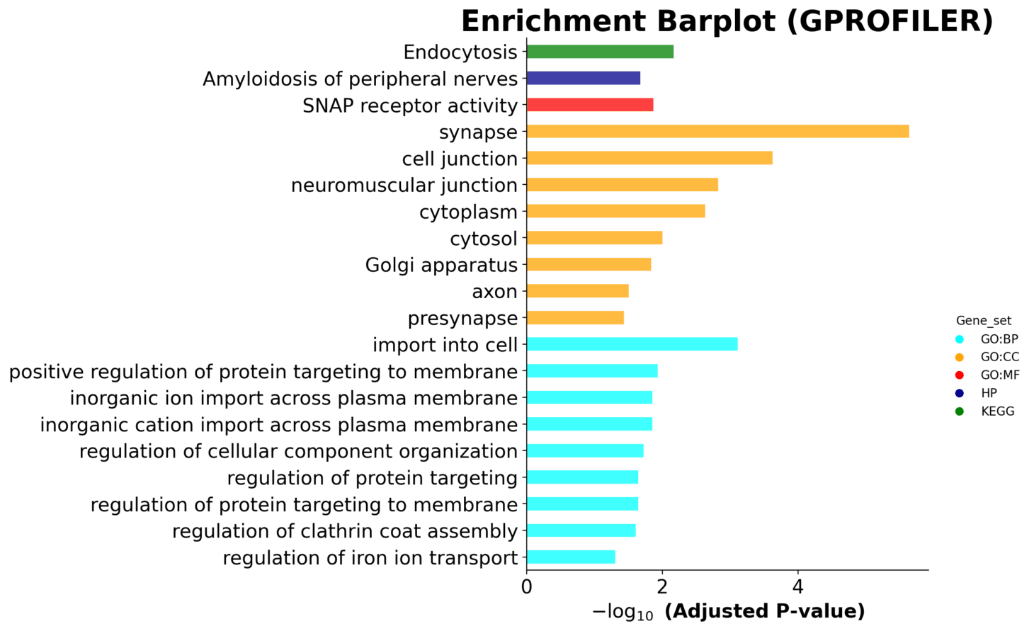 Bar Plot Functional Enrichment