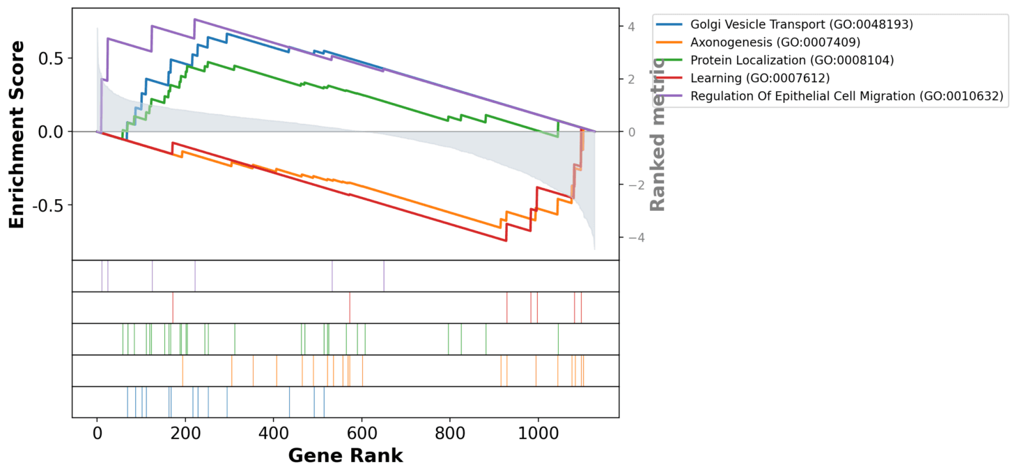 GSEA Plot Functional Enrichment
