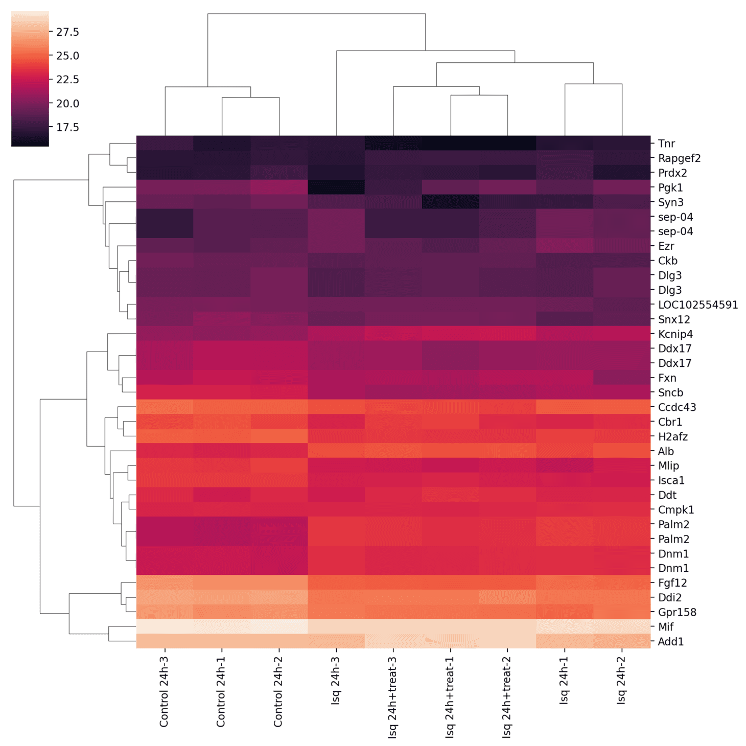 Heatmap of differentially expressed proteins